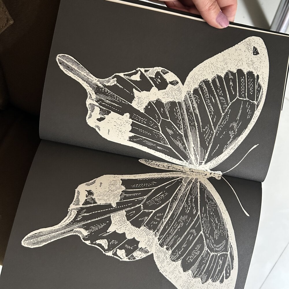 stripchat anaginger webcam profile pic via rudecam.live