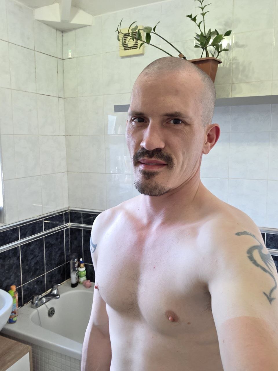 PaulPleasure