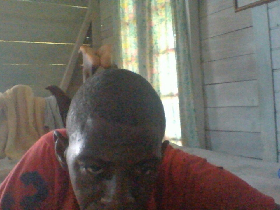 PELOVER profile
