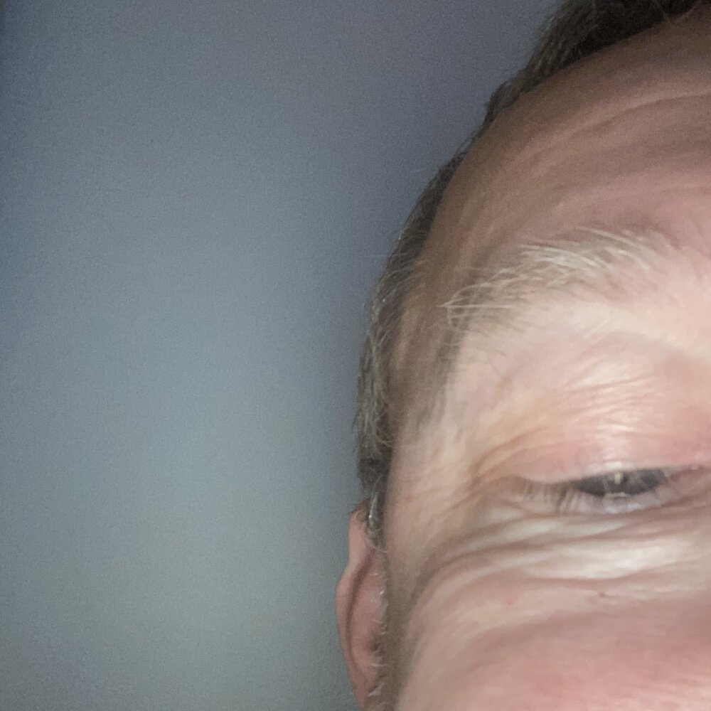 Lion22081's most recent online preview