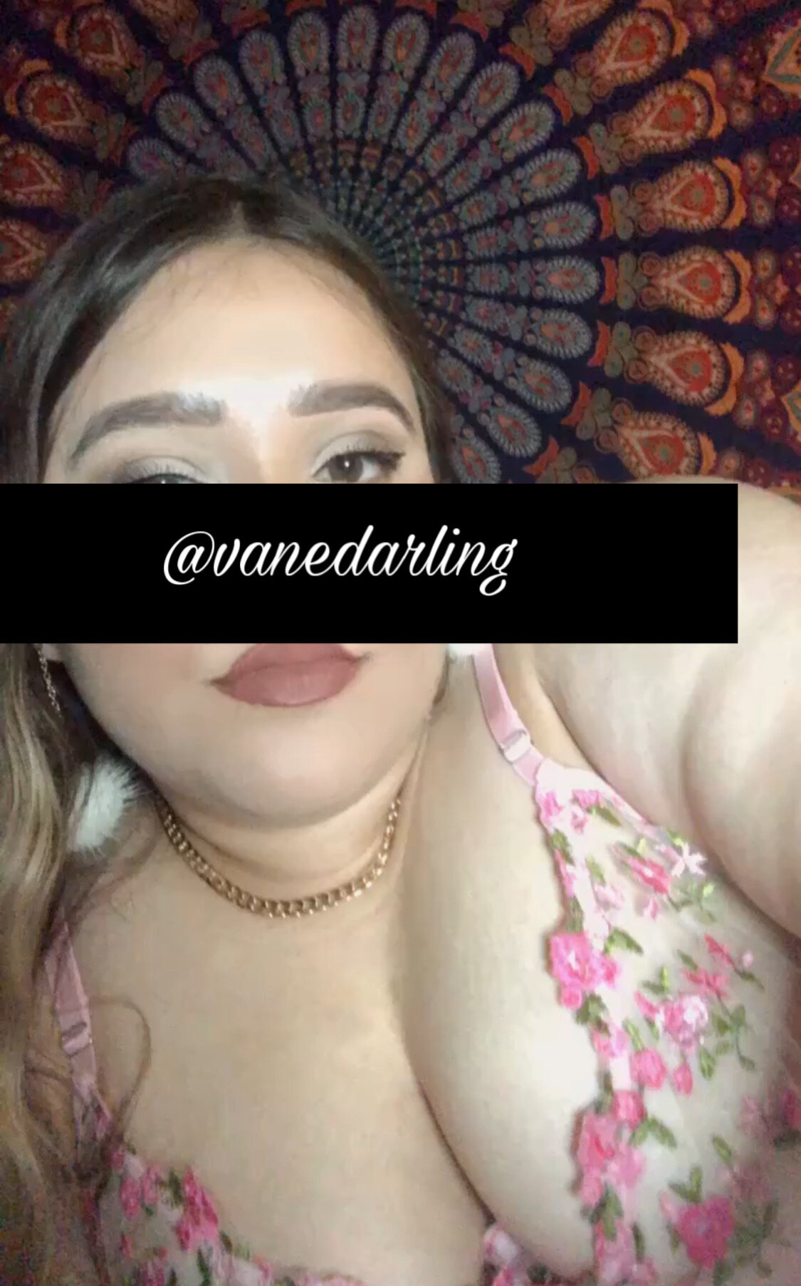 vanedarling