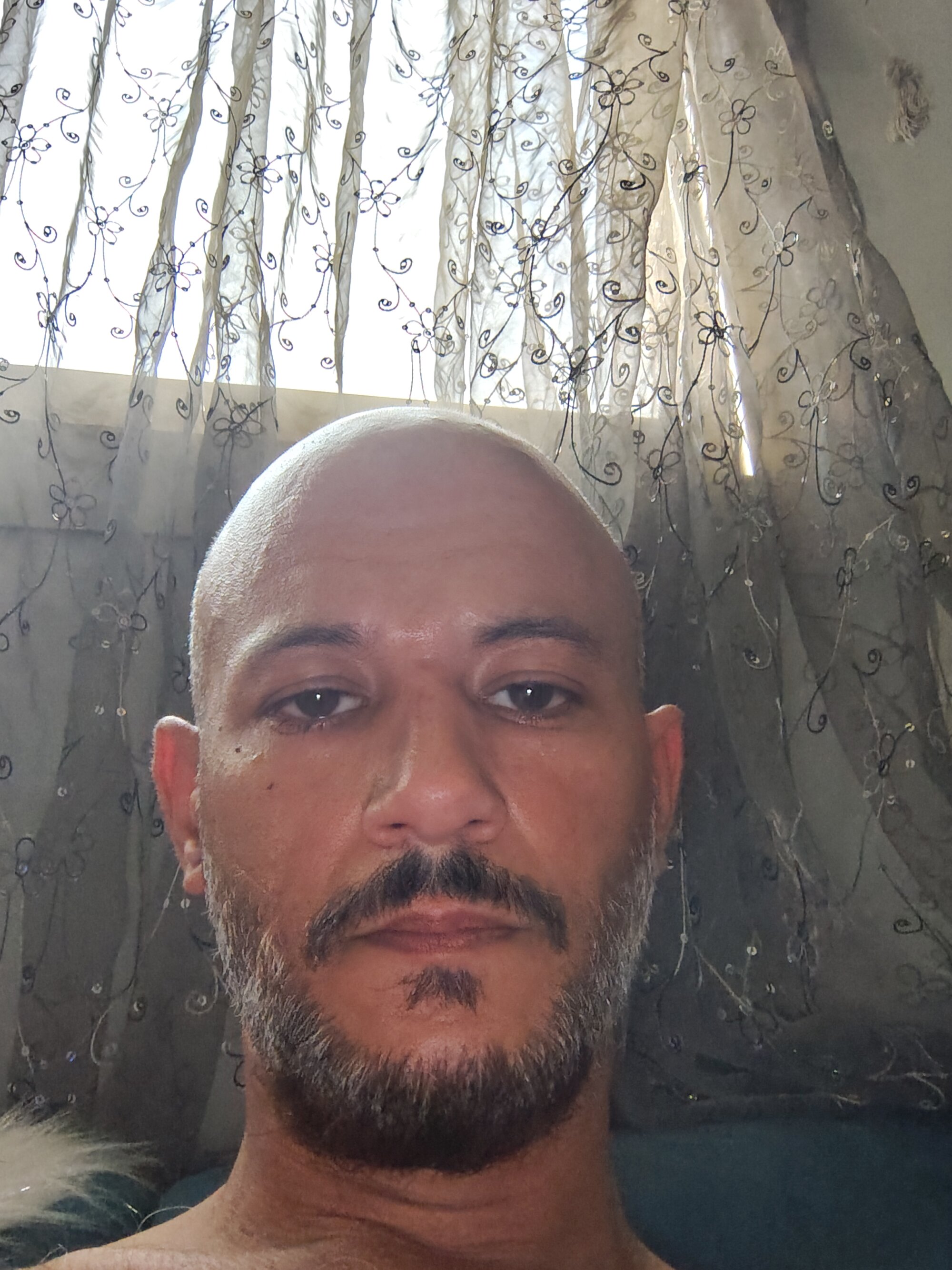 emafia2025