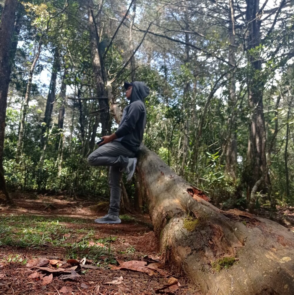 UmamiPorcus offline XXX-chat