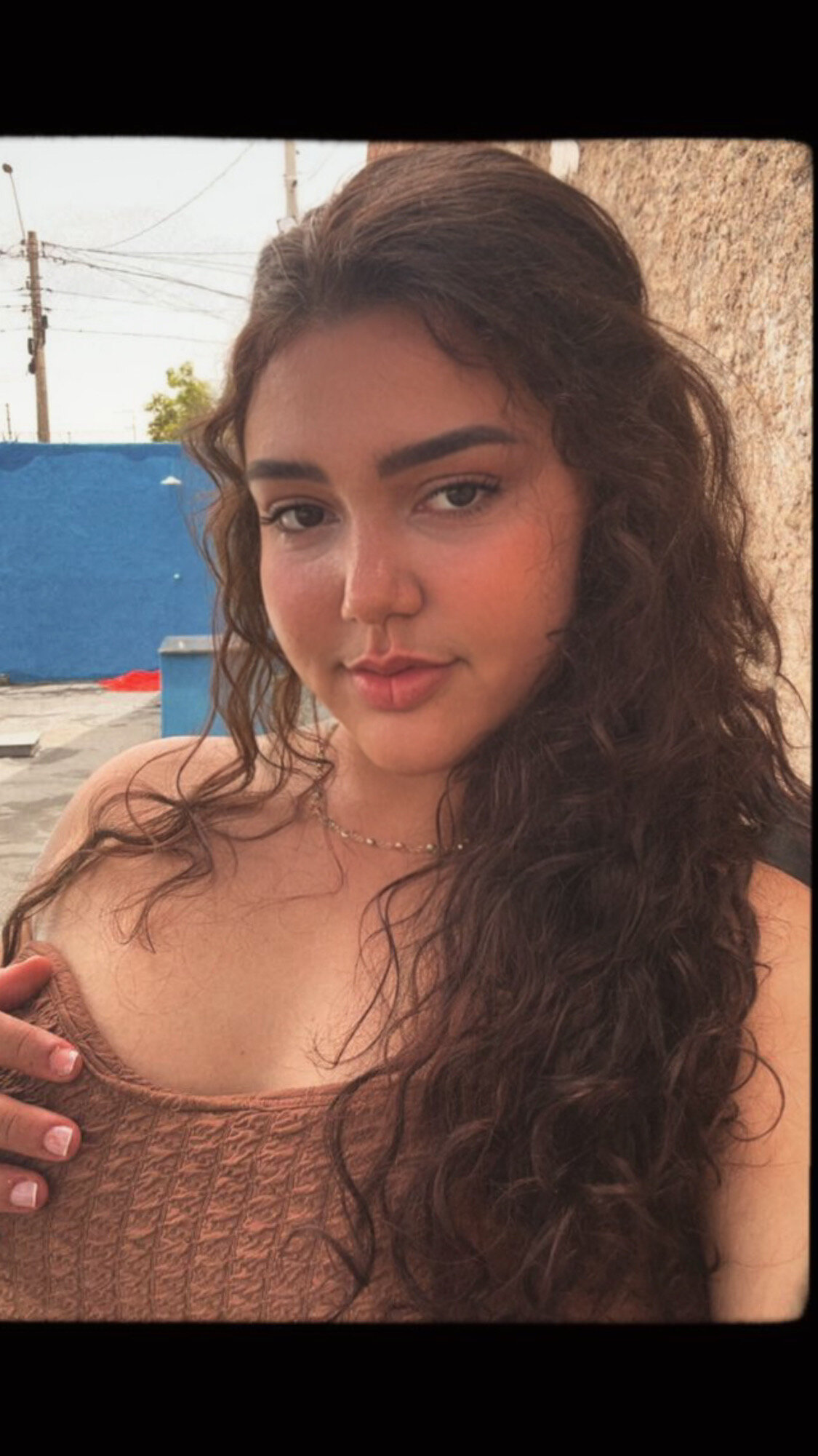 aninhasilvas