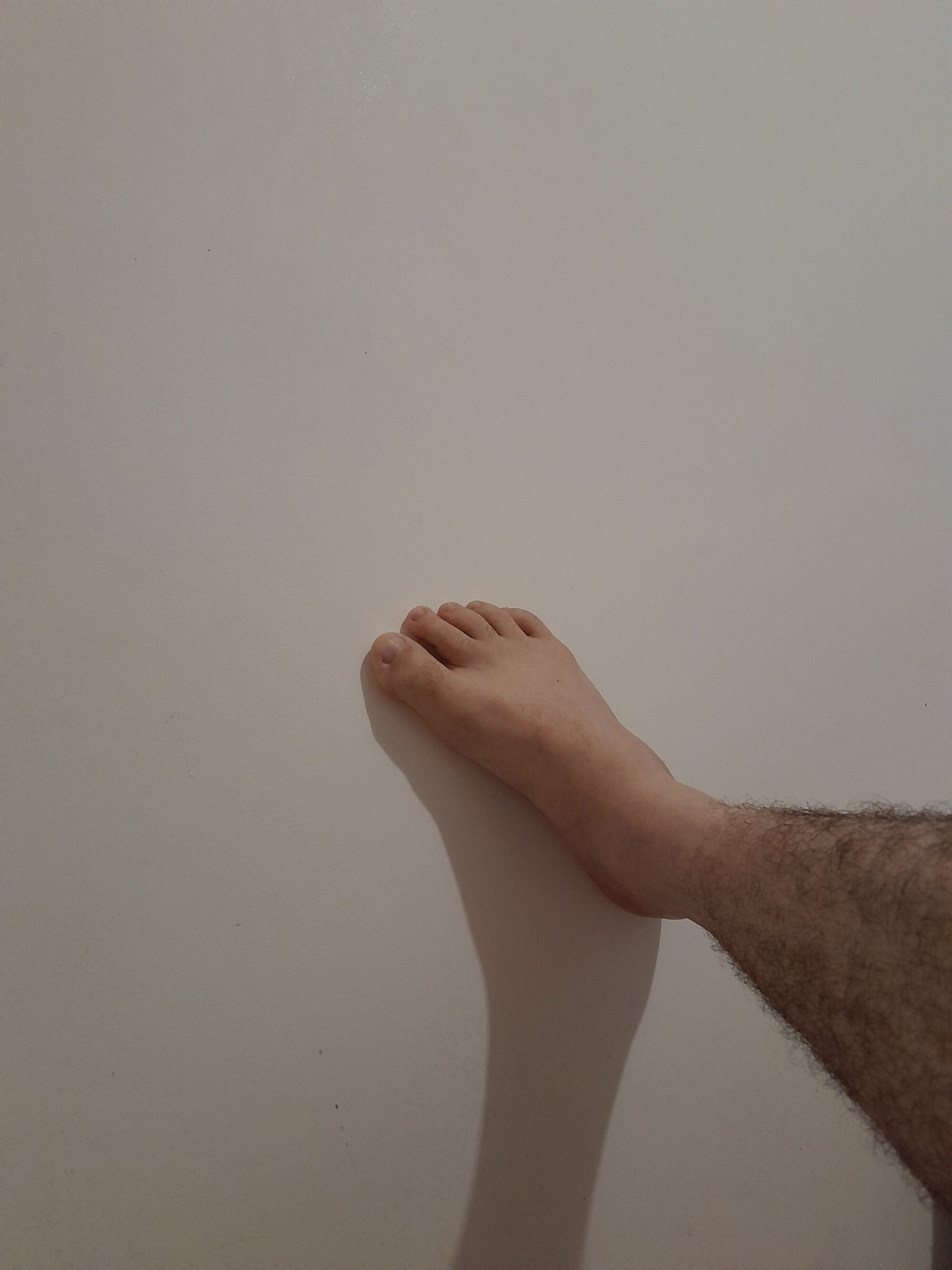 jb569