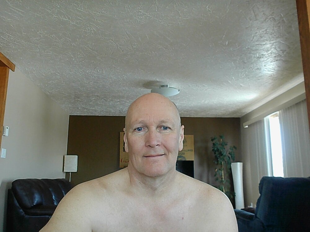 BasicAnt profile