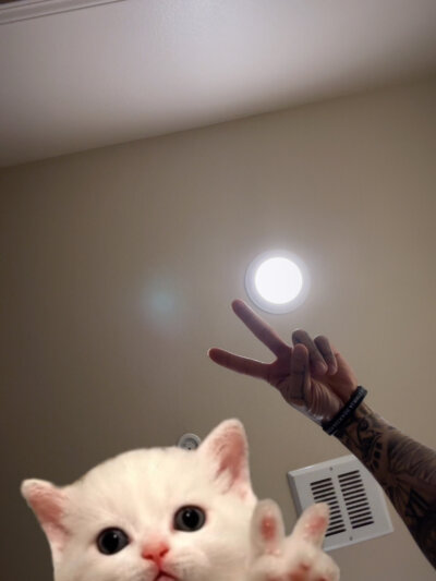 shredd_szn24 profile