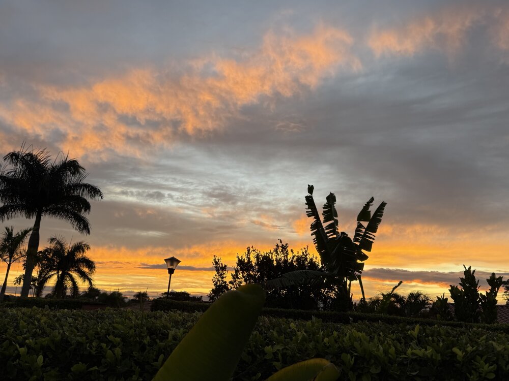 InsaneDesire9x profile