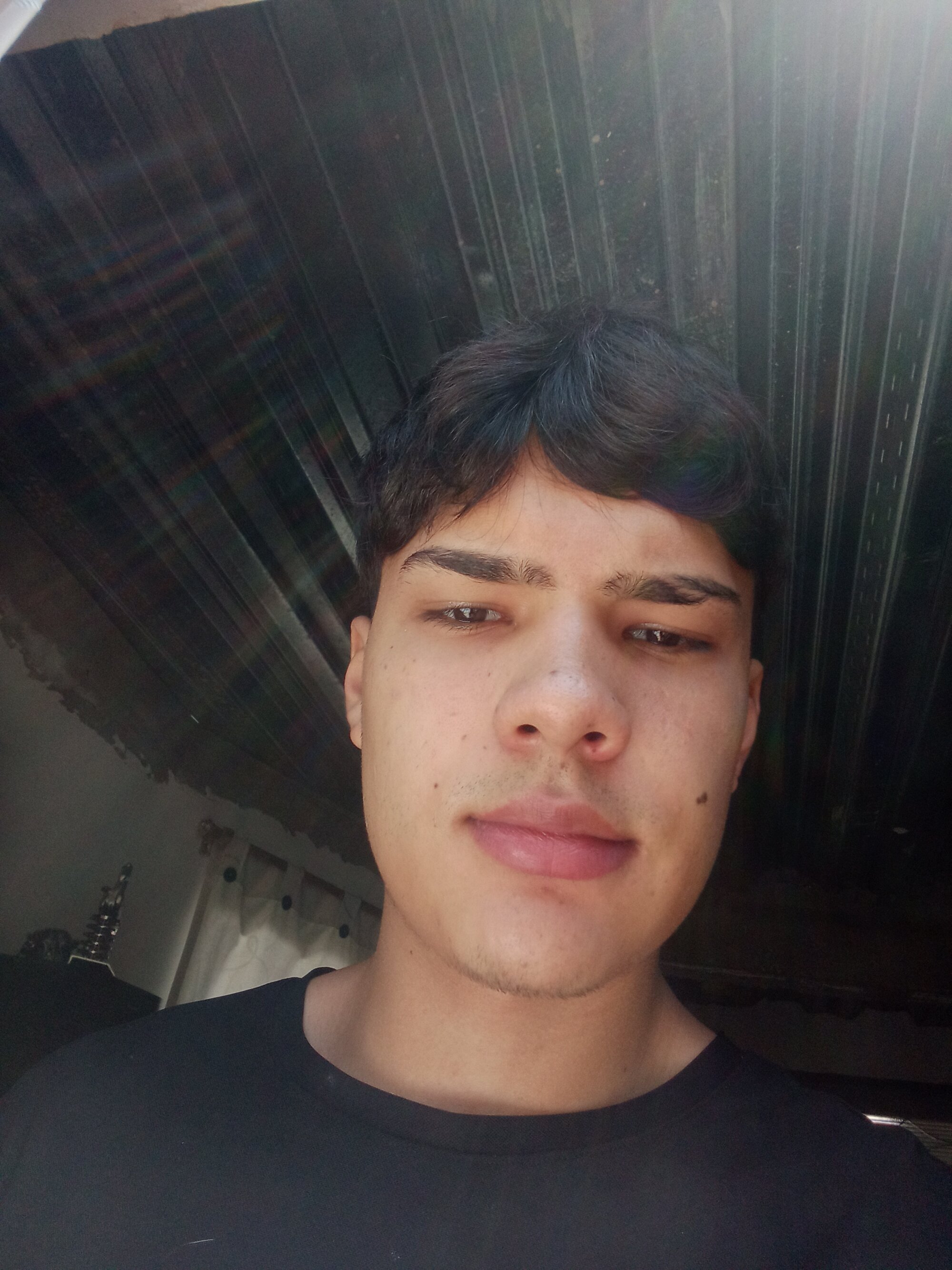 MASTERDANI320
