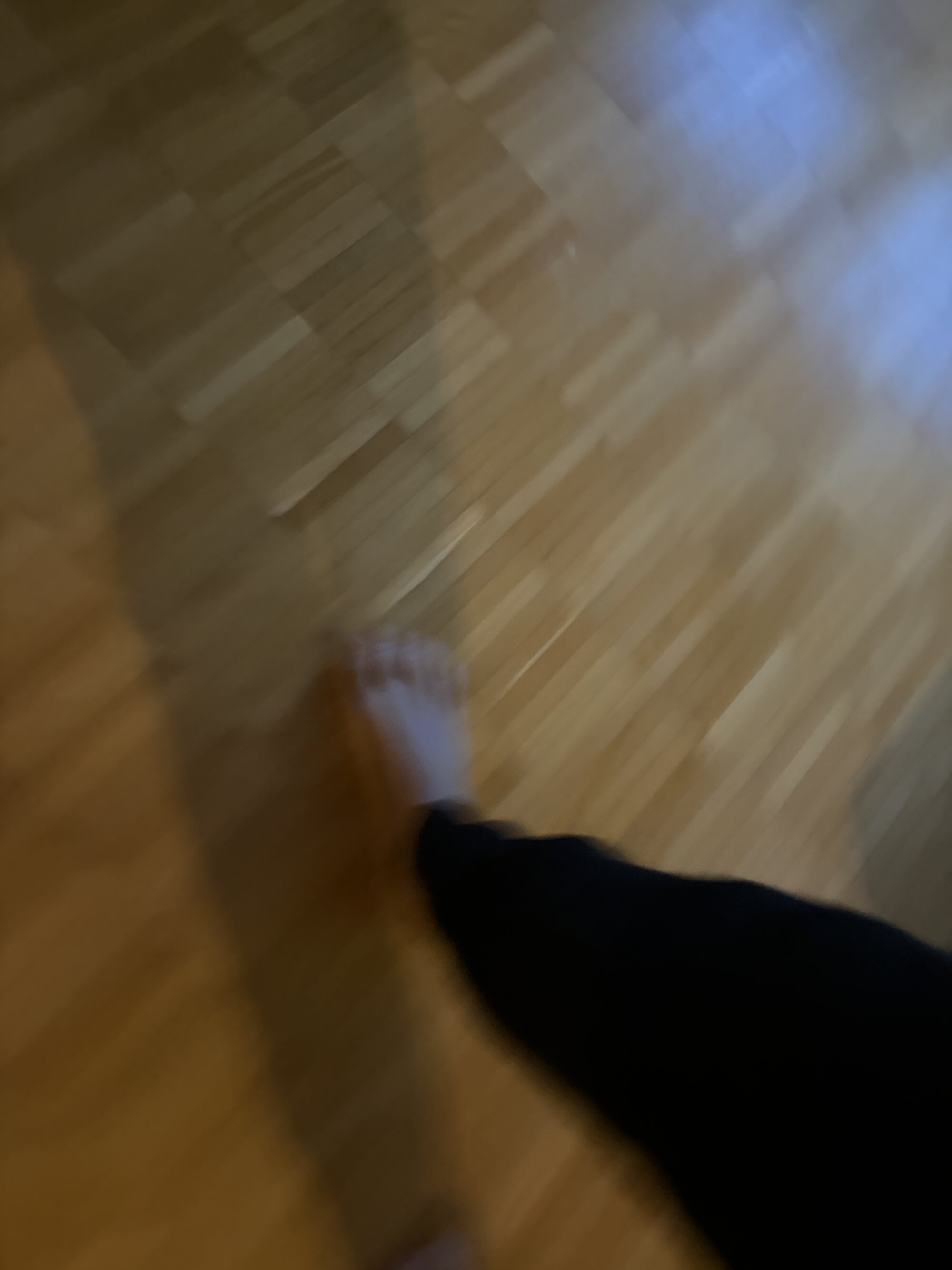 fangmo
