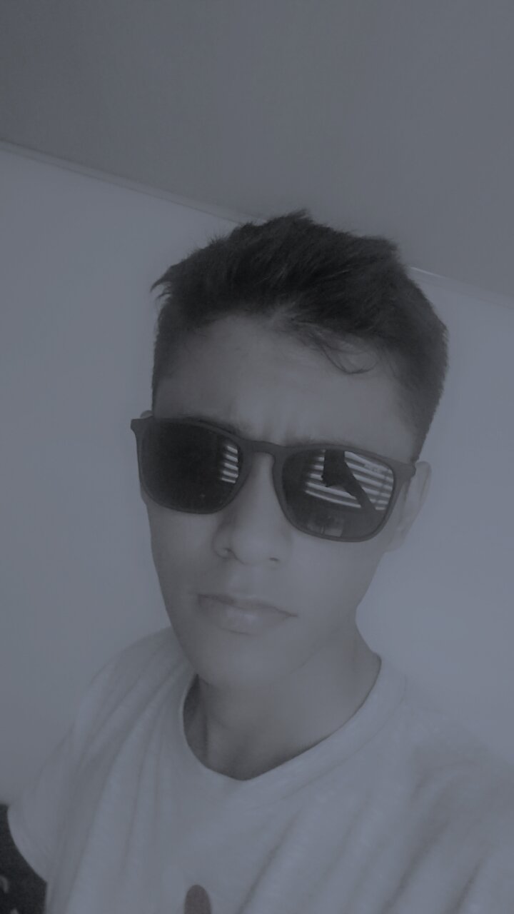 principe334