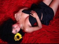 Alison-Jackson's webcam live show