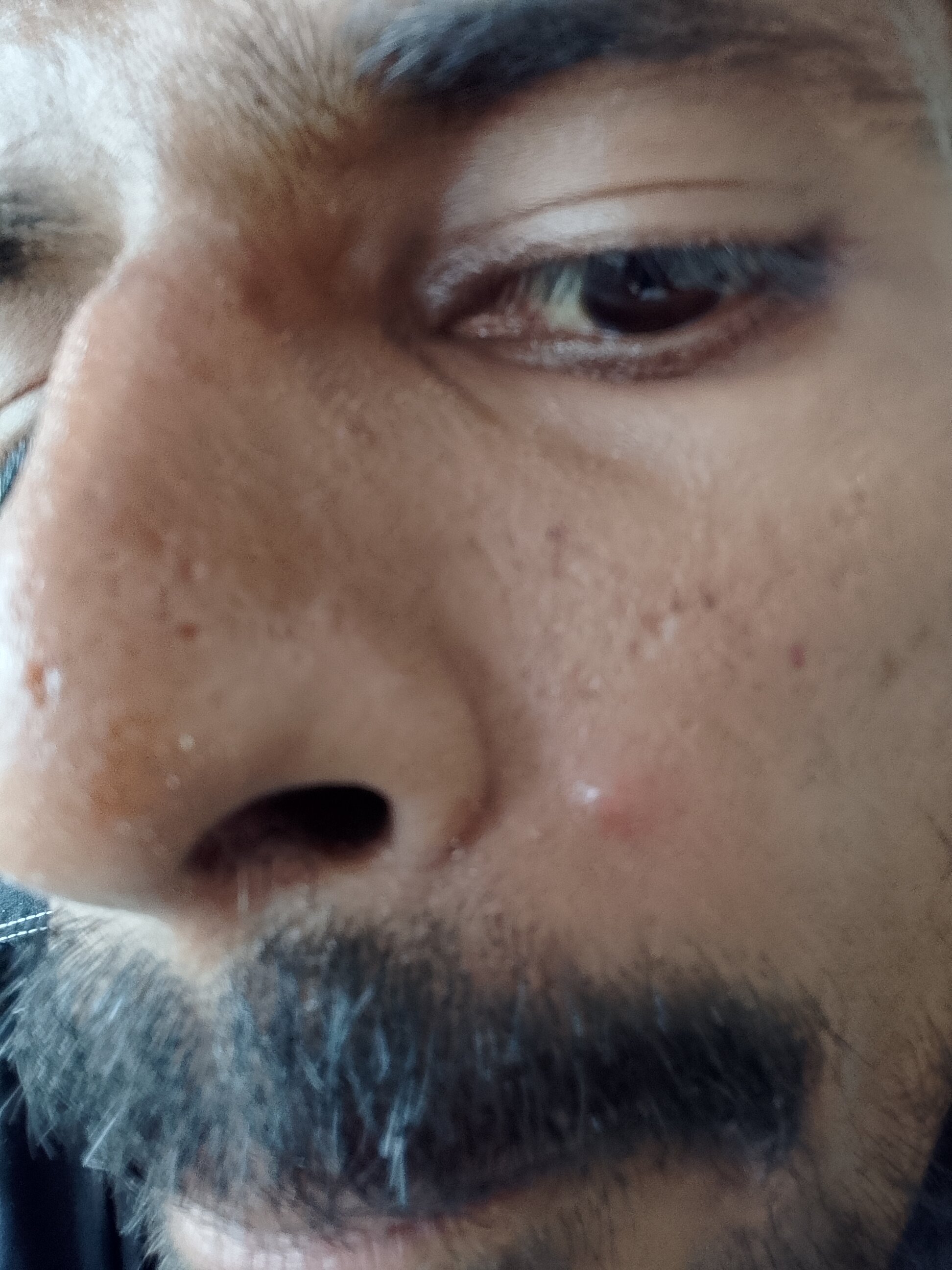 ibusserd