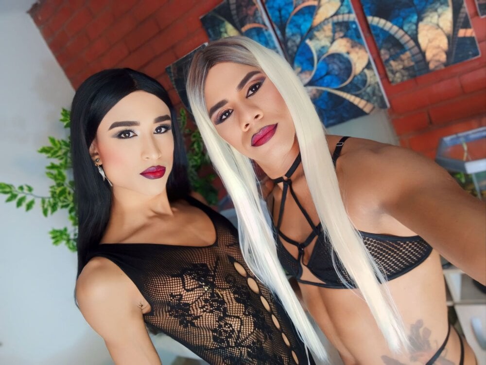 LatinTrans777 profile