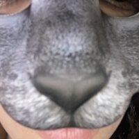 Morenalindapraia's Offline Chat Room