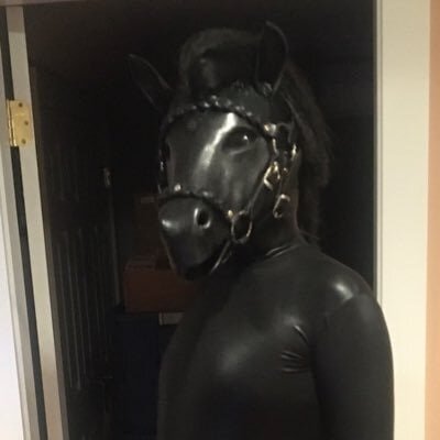 Talids_Aurozak