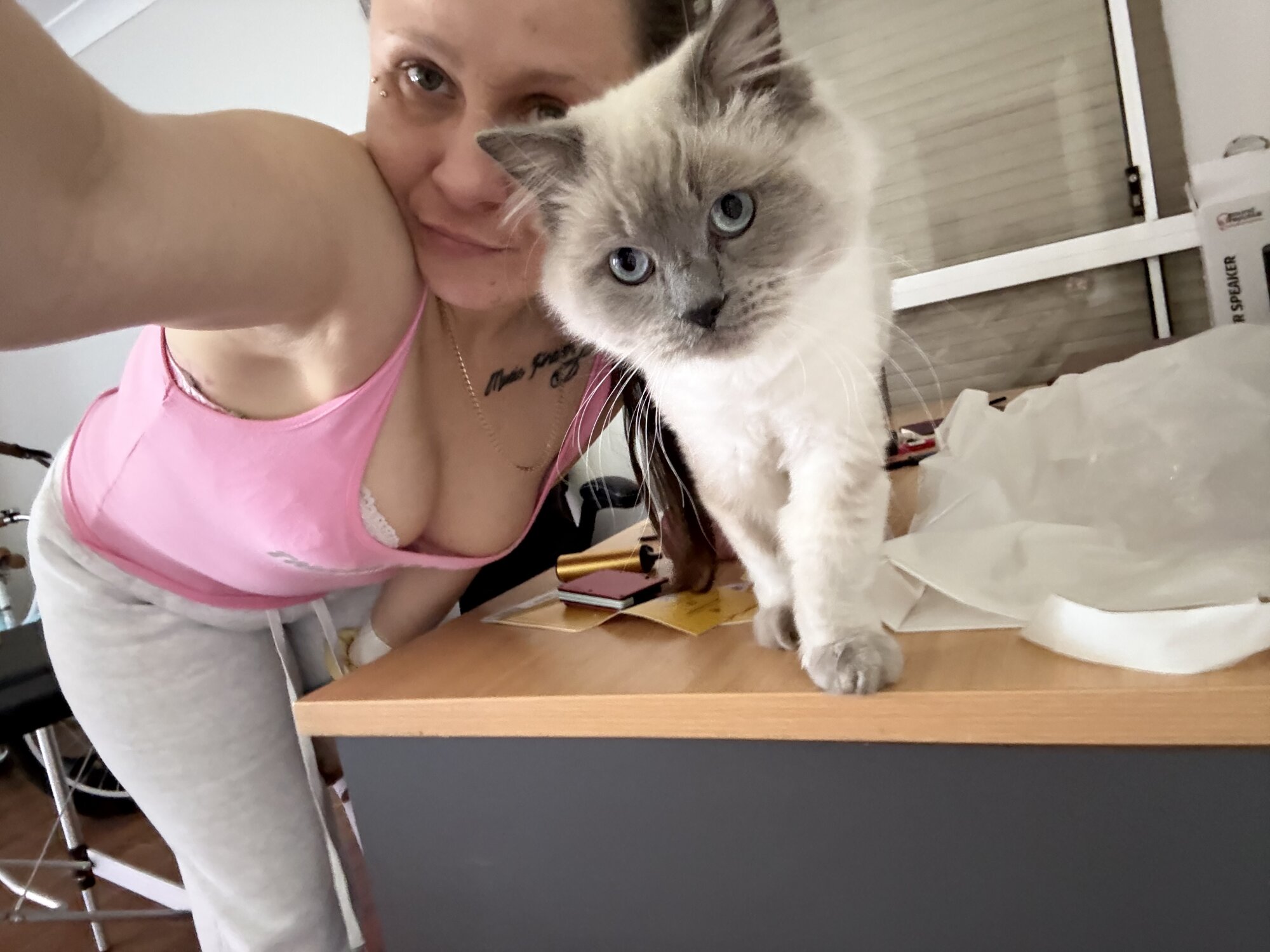 annesok1