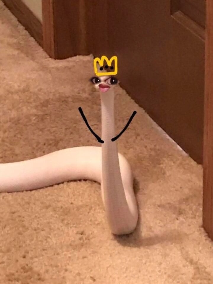 Diosadeebano96's Offline XXX Chat