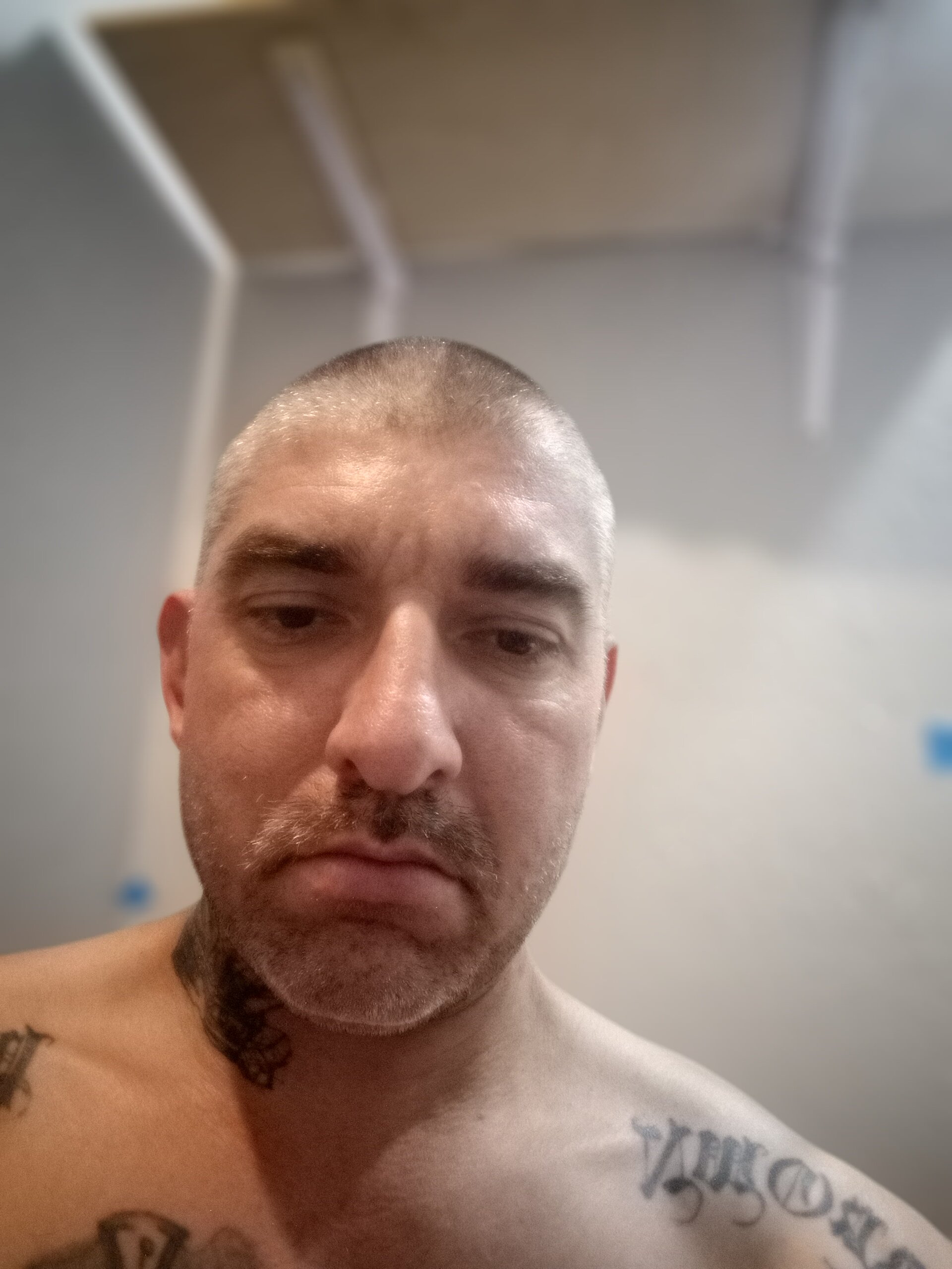 sirpussylik