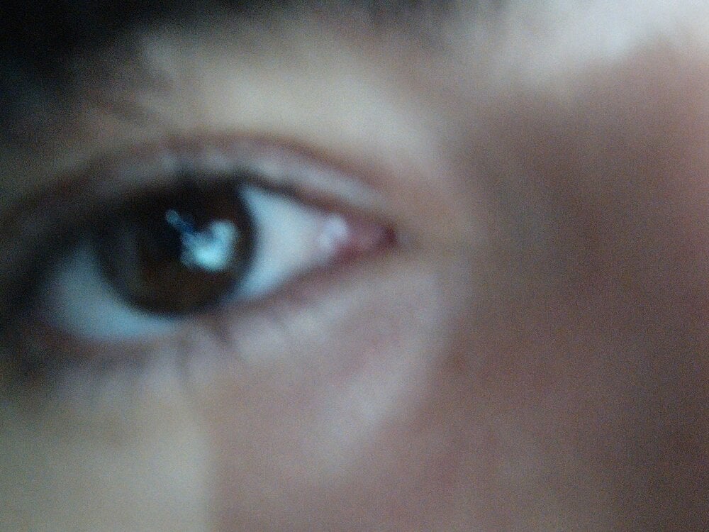 Spaghetti_broad's Offline XXX Chat