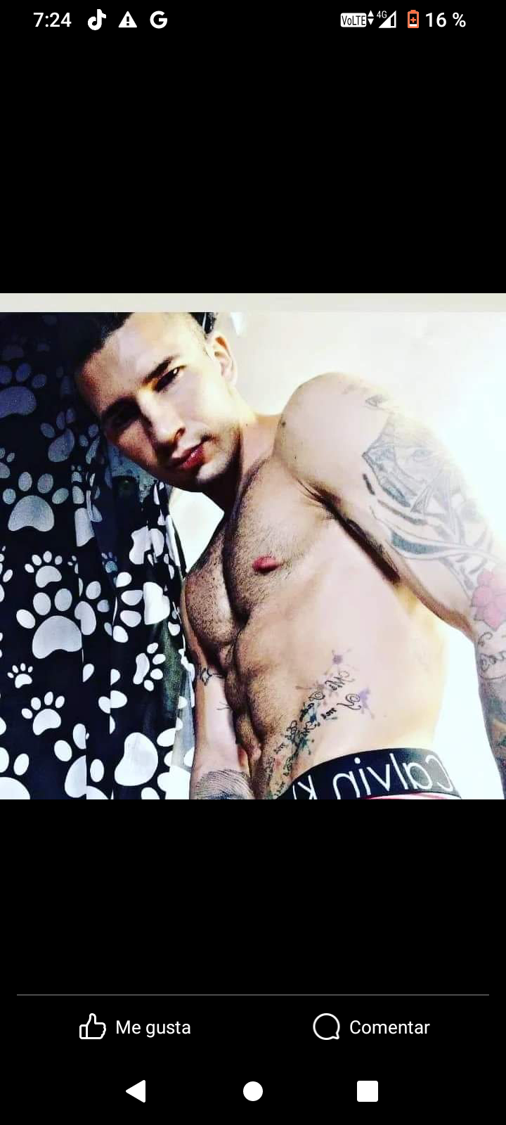 Rico233328