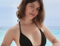 Модель _Amberlley