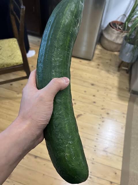 ____meninadeluz