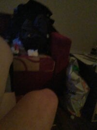 Vlastislav23's webcam live show