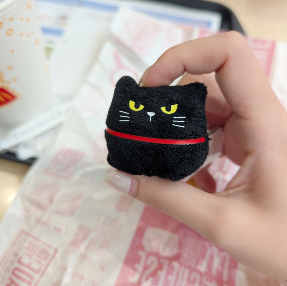 stripchat mio_kyuuna webcam profile pic via sexcityguide.com