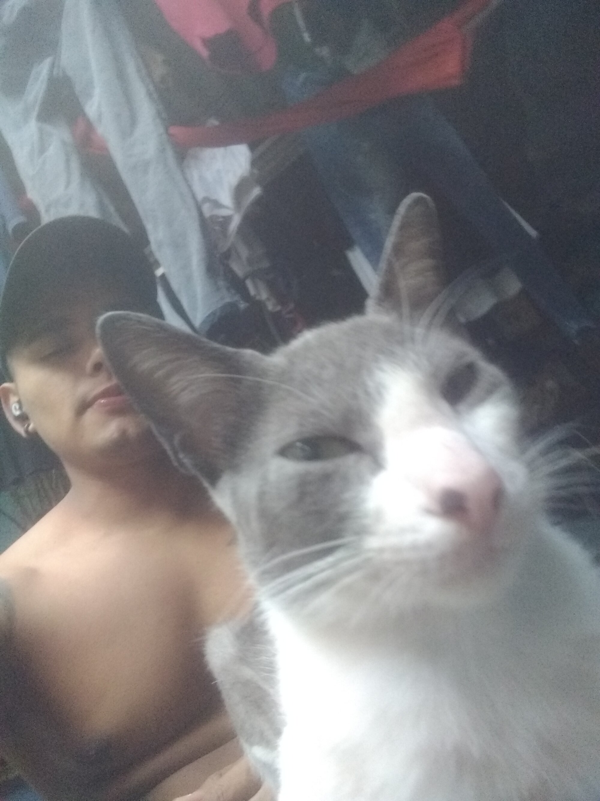 DavidEle06