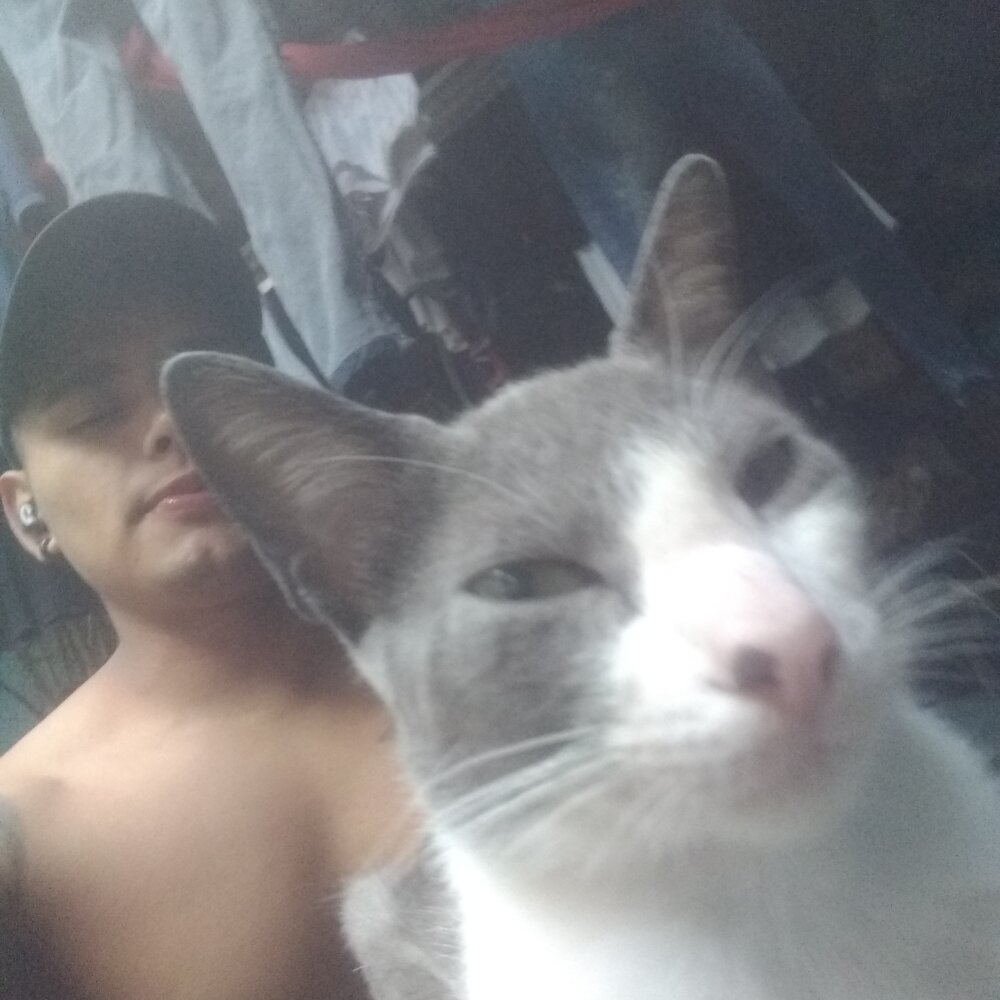 davidele06 from stripchat
