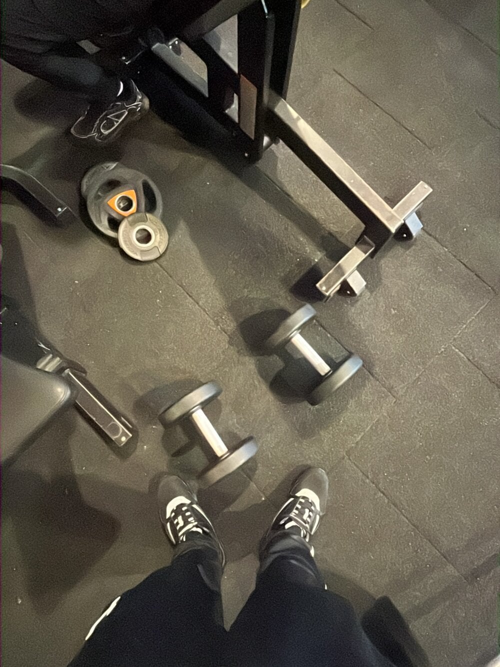 49hgcz from stripchat