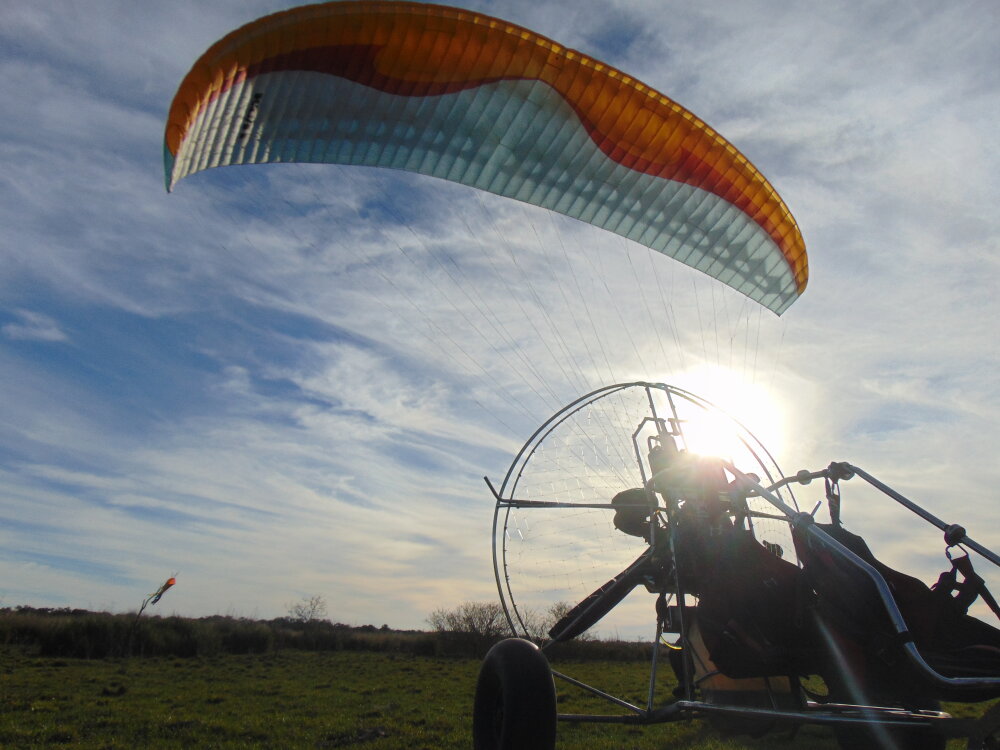 Pibe75's most recent online preview