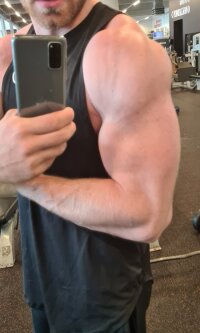 Muscleguy9494's Offline XXX Chat