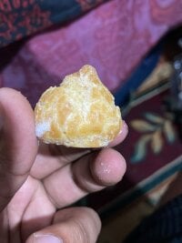 Model HangdogBeggary