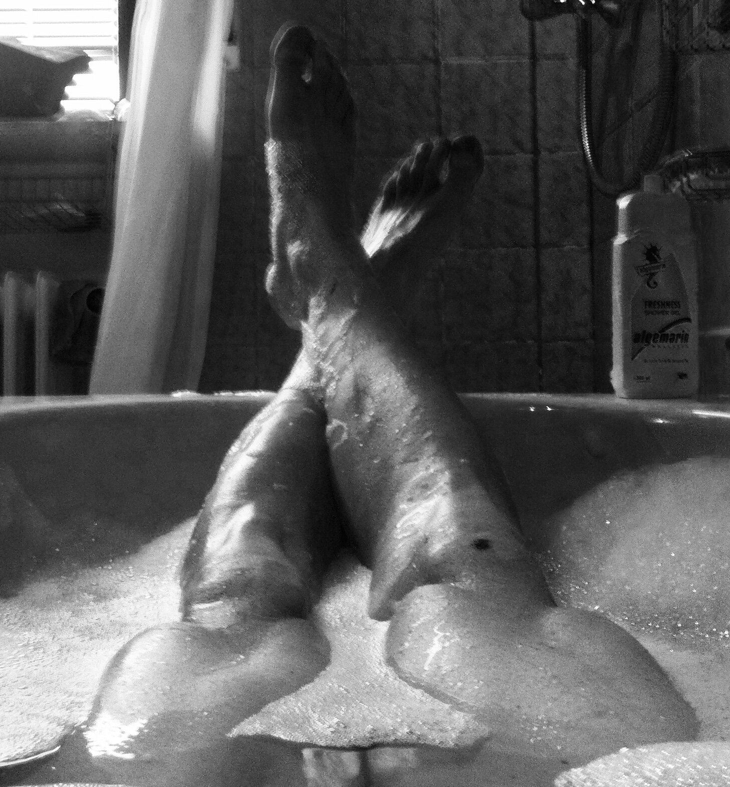 PeterCrenshaw live webcam