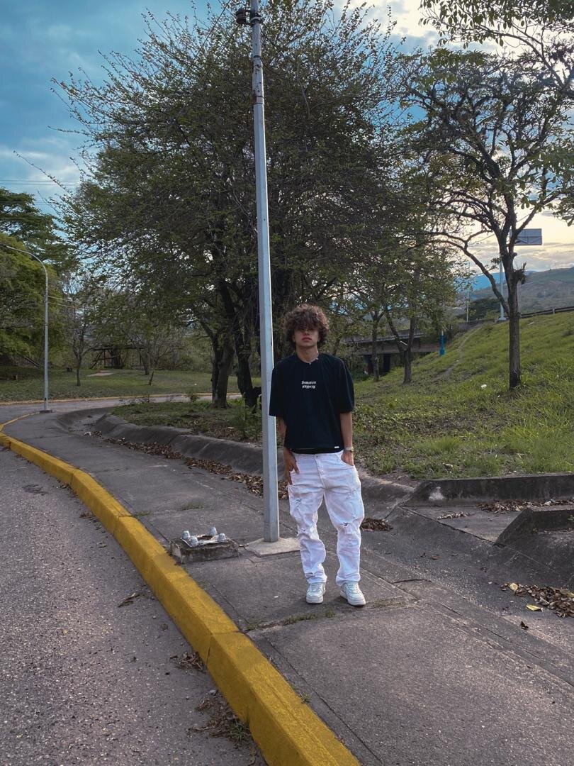Steinn_