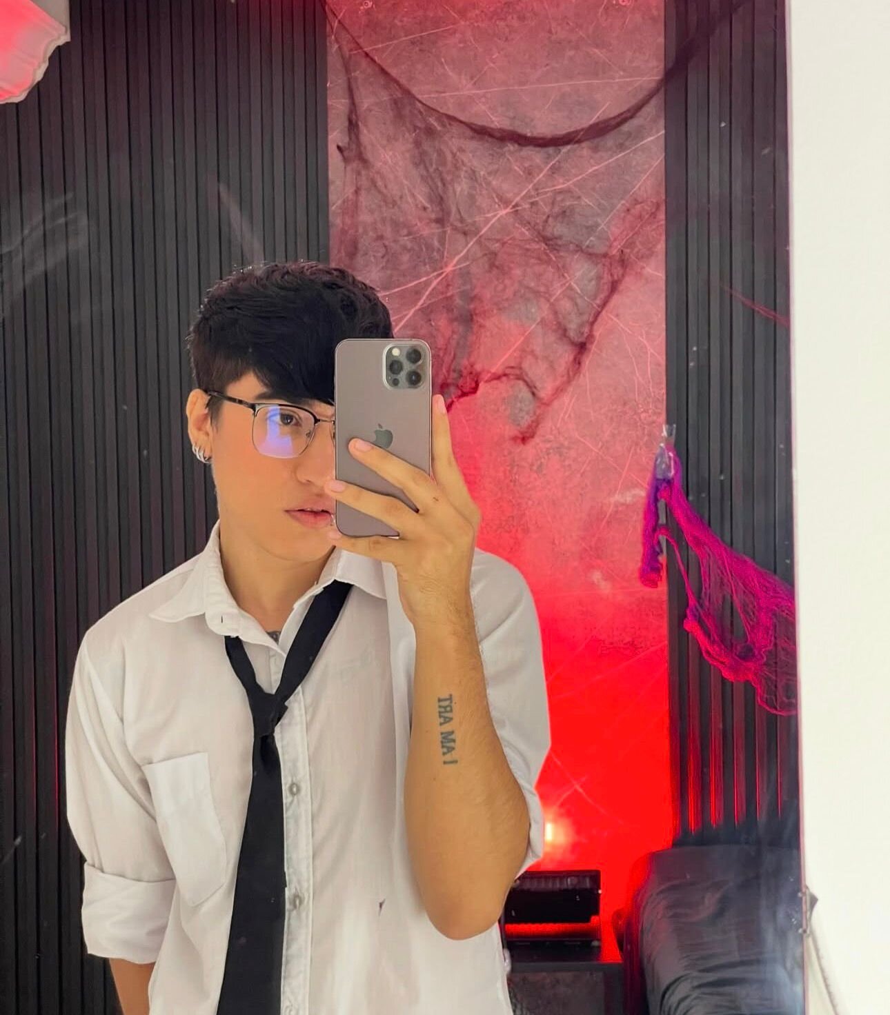 _imsebs