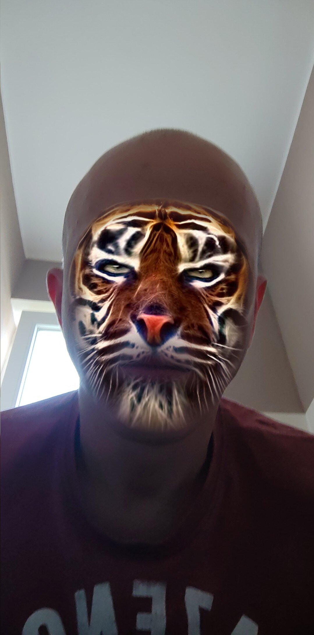 Singlepennis live webcam