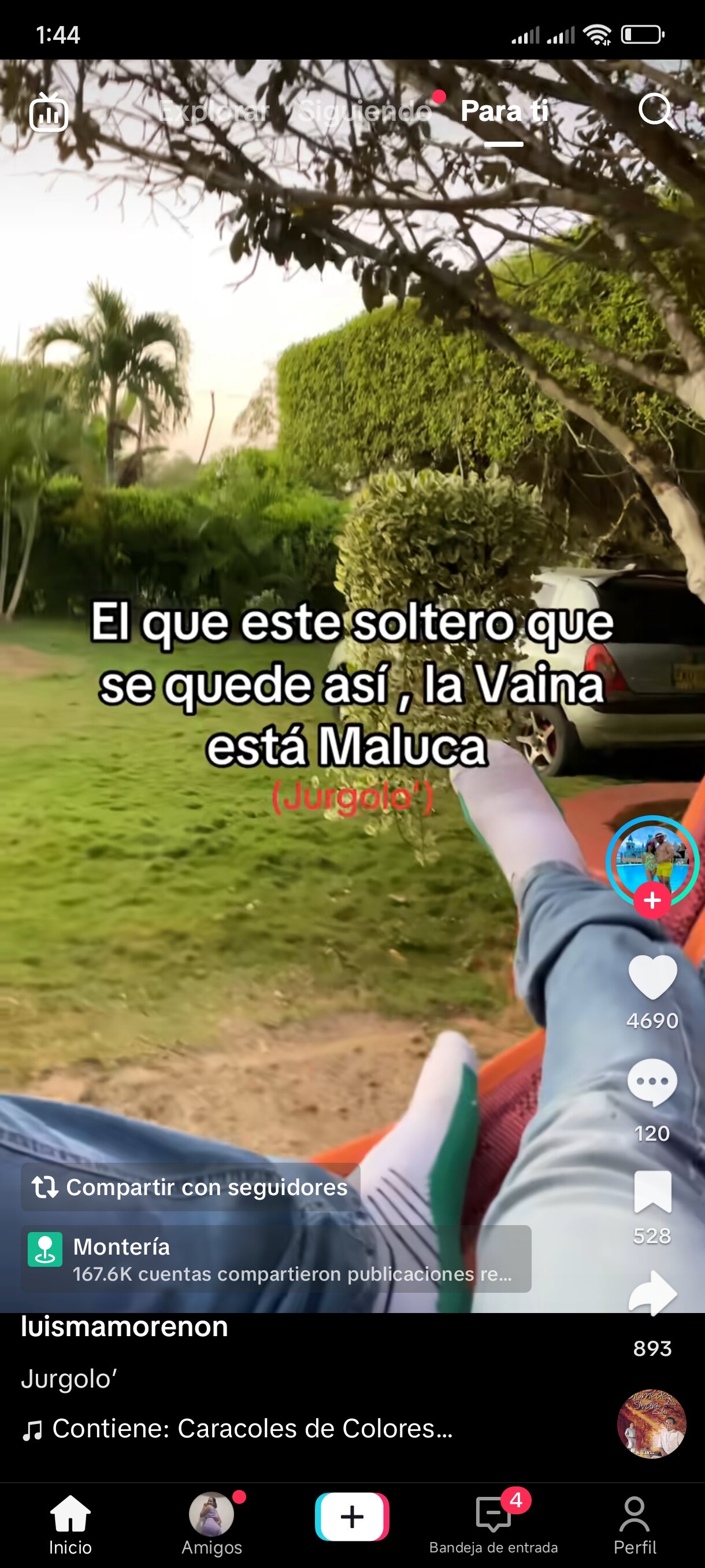 EnzoLuco
