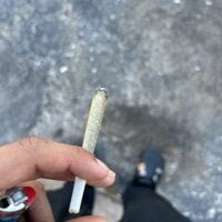 lust020's webcam live show