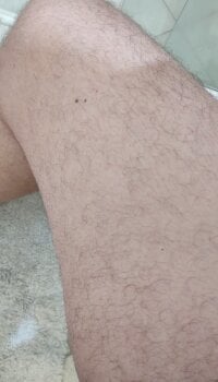 carvalhesco's webcam live show