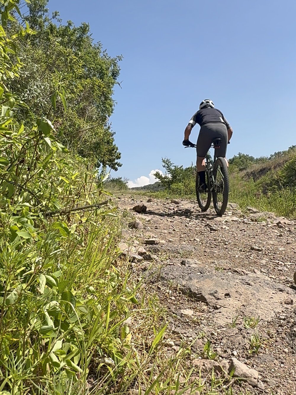 ritaremorv Offline XXX Chat