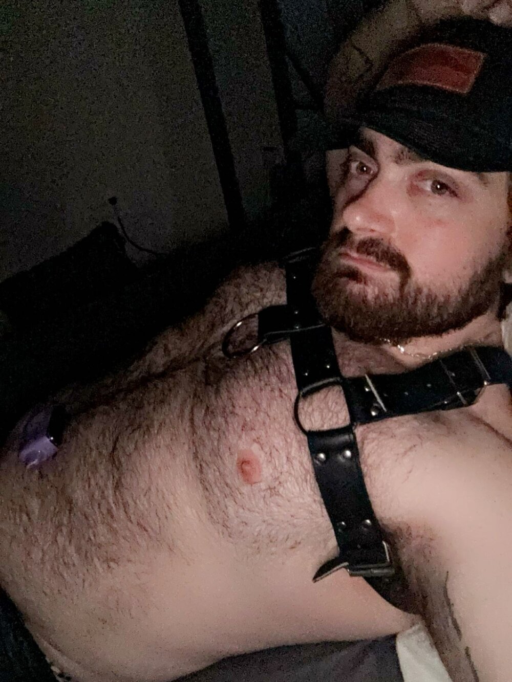 bearymikeyy from stripchat