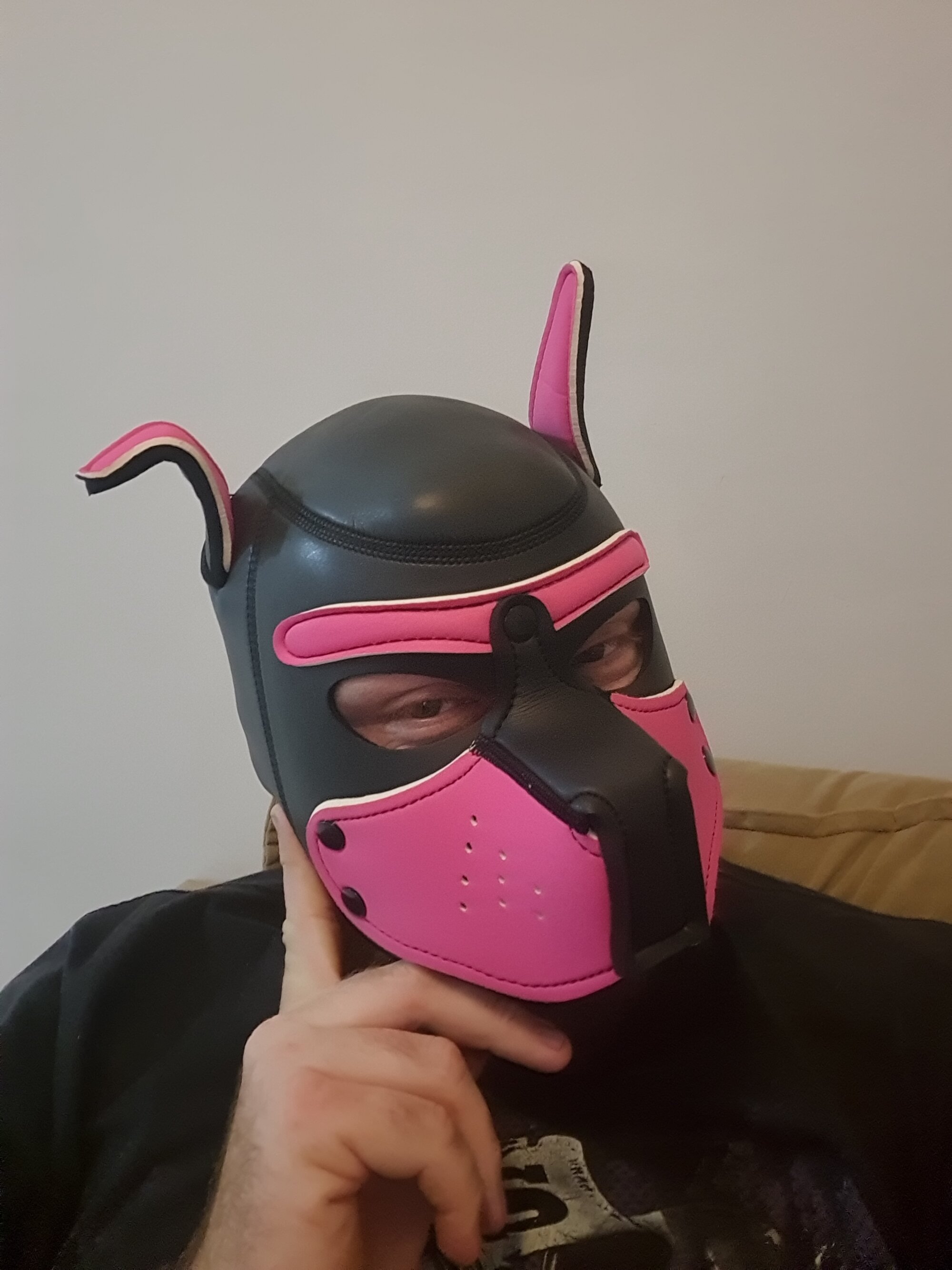 alekpuppy