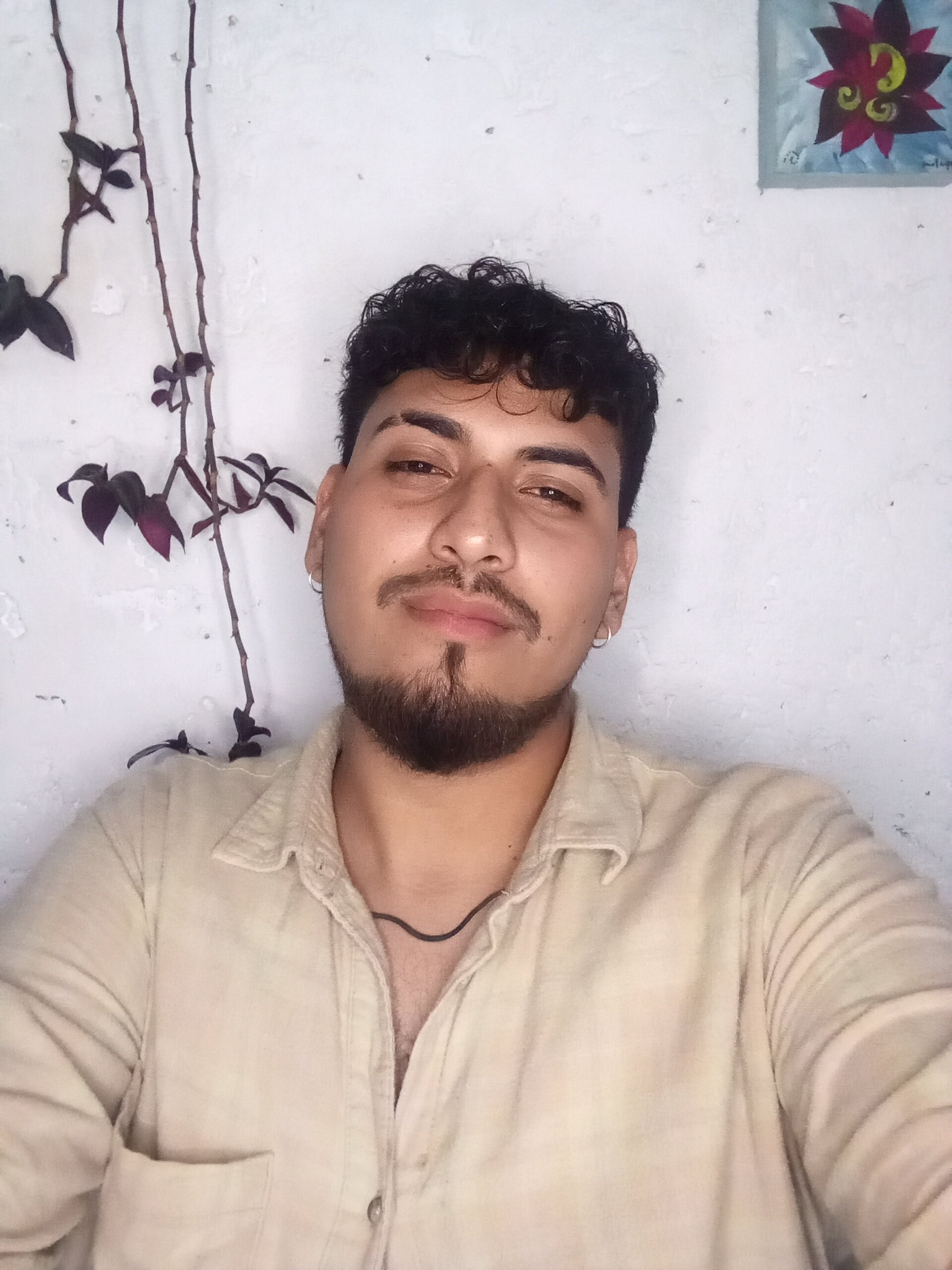 l4rmis