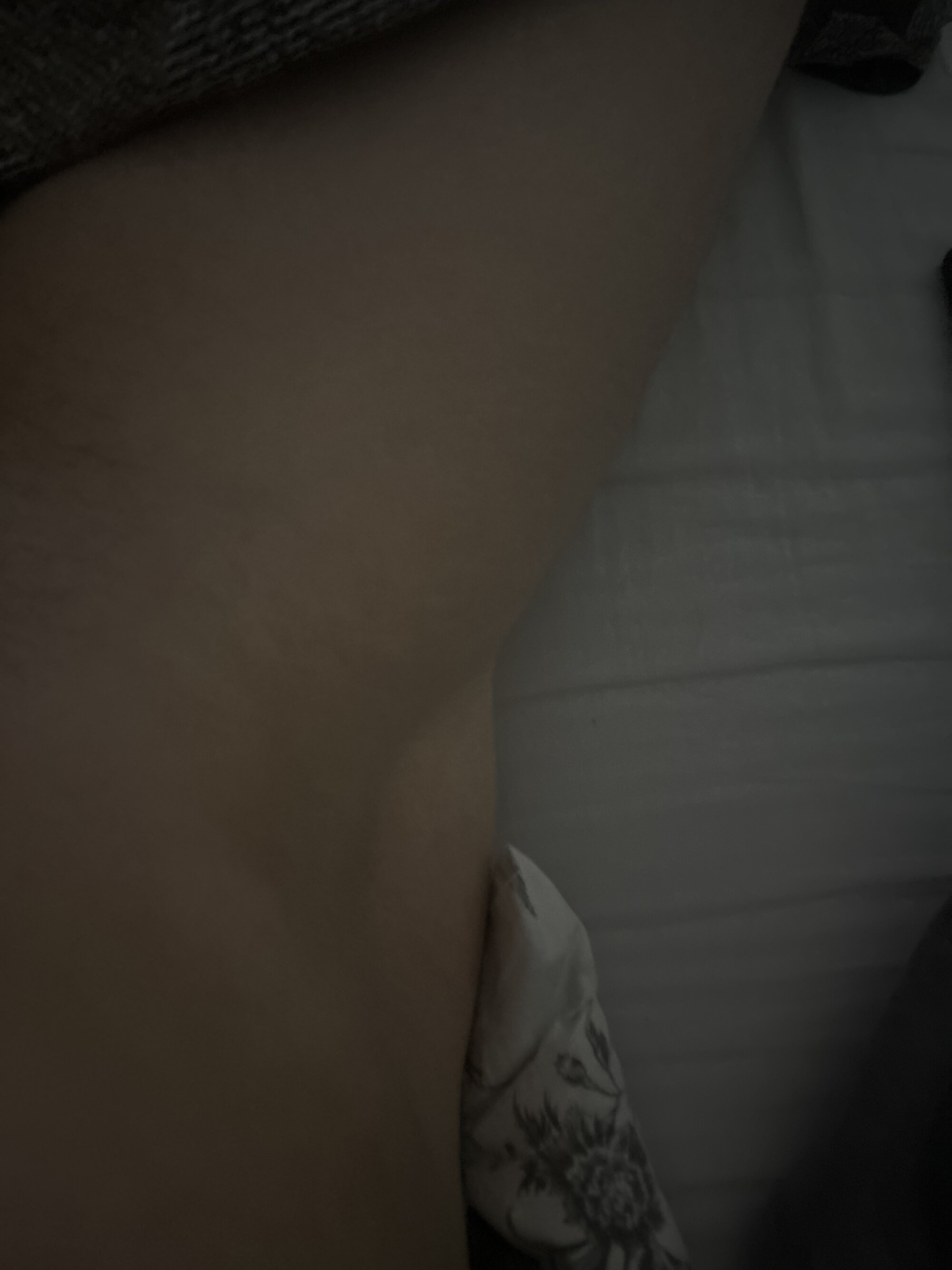 cockk19