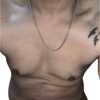 Модель TroubledRam