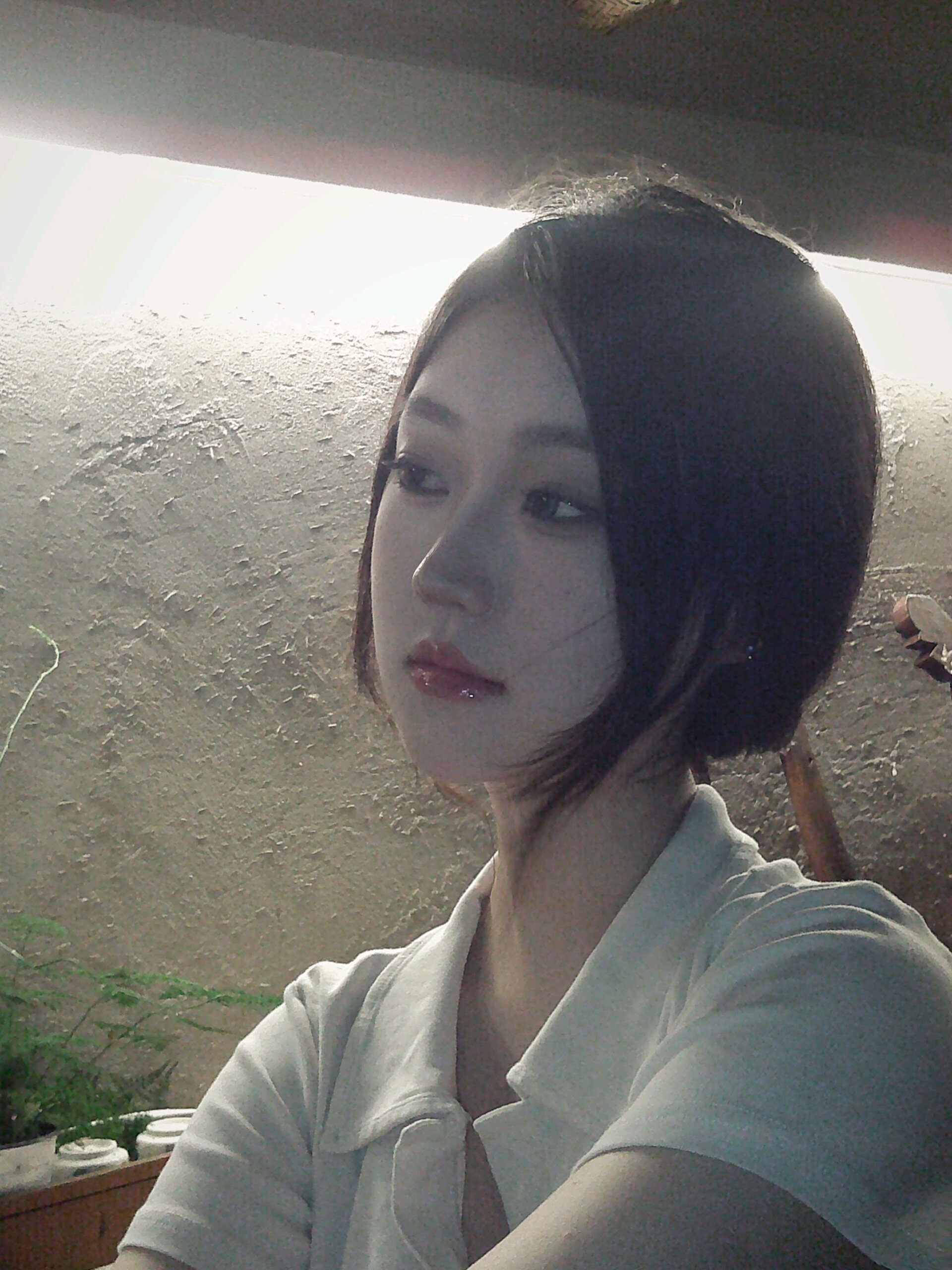 COCOO888