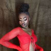 Модель nikkystorm1_